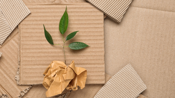 Sustainable Packaging Solutions Header