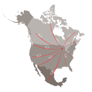 Packaging Solutions in North America